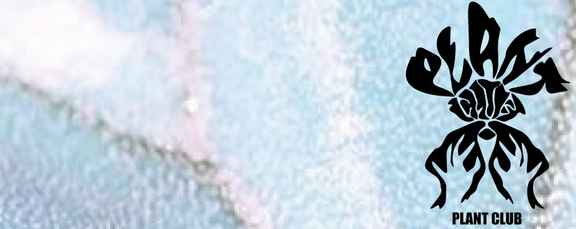 お引き取り限定】爬虫類倶楽部 オリジナルケージ ホワイトタンク