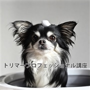 トリマープロフェッショナル講座|通信教育講座で資格なら「ヒューマン