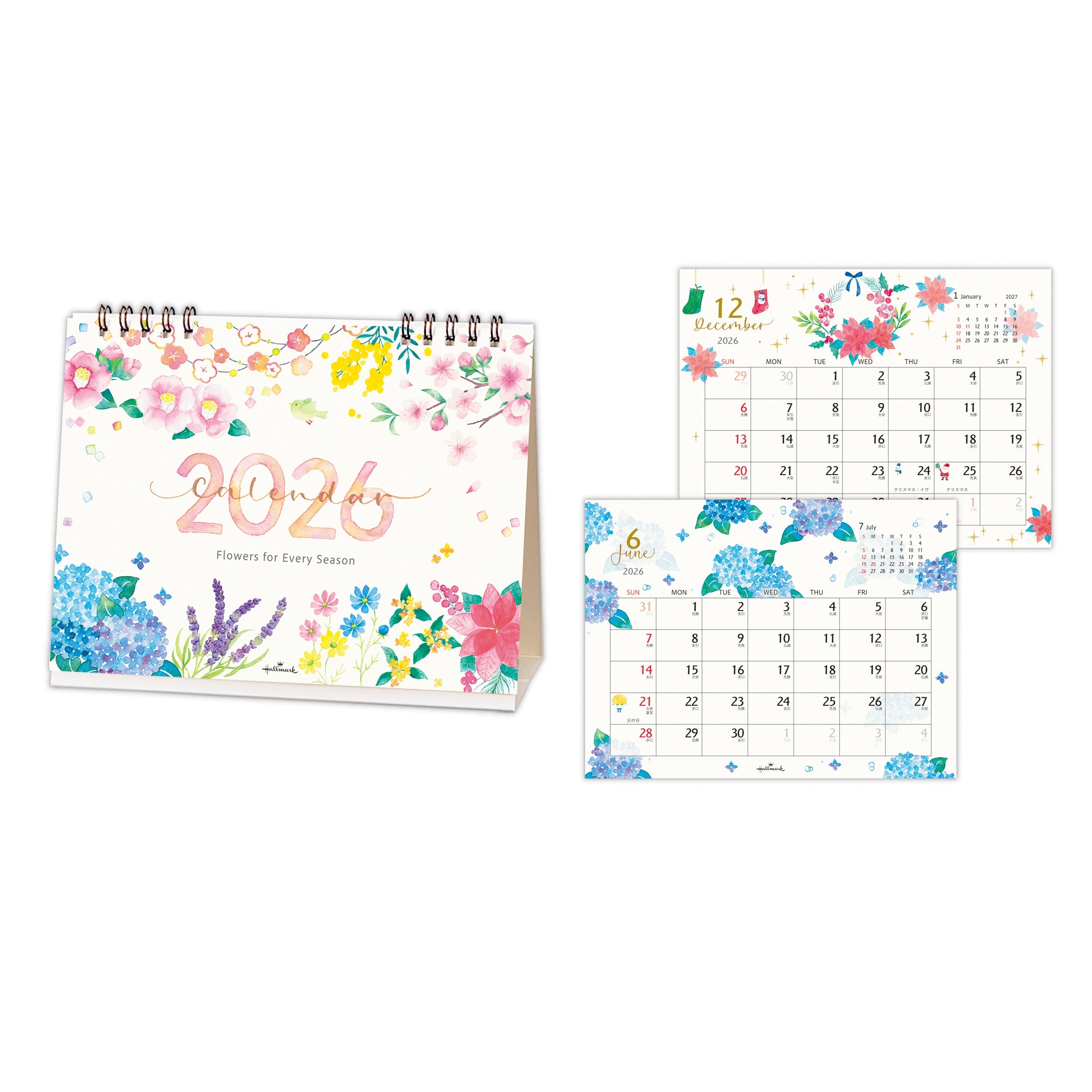 845520.jpg?v=1753682956&width=1200