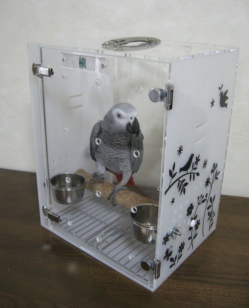 アクリルキャリーno14 移動に楽な肩紐も可 ヨウム、オウムに