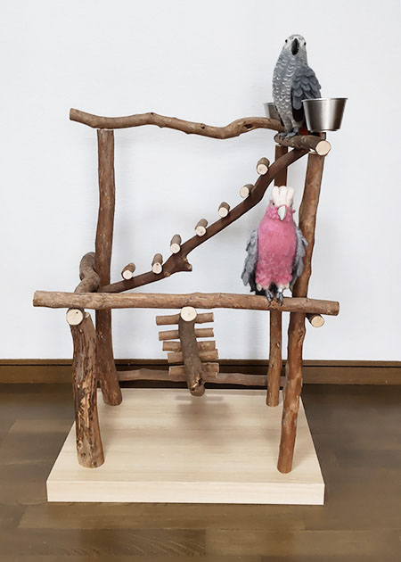 流木止まり木・バードタワーNo.77