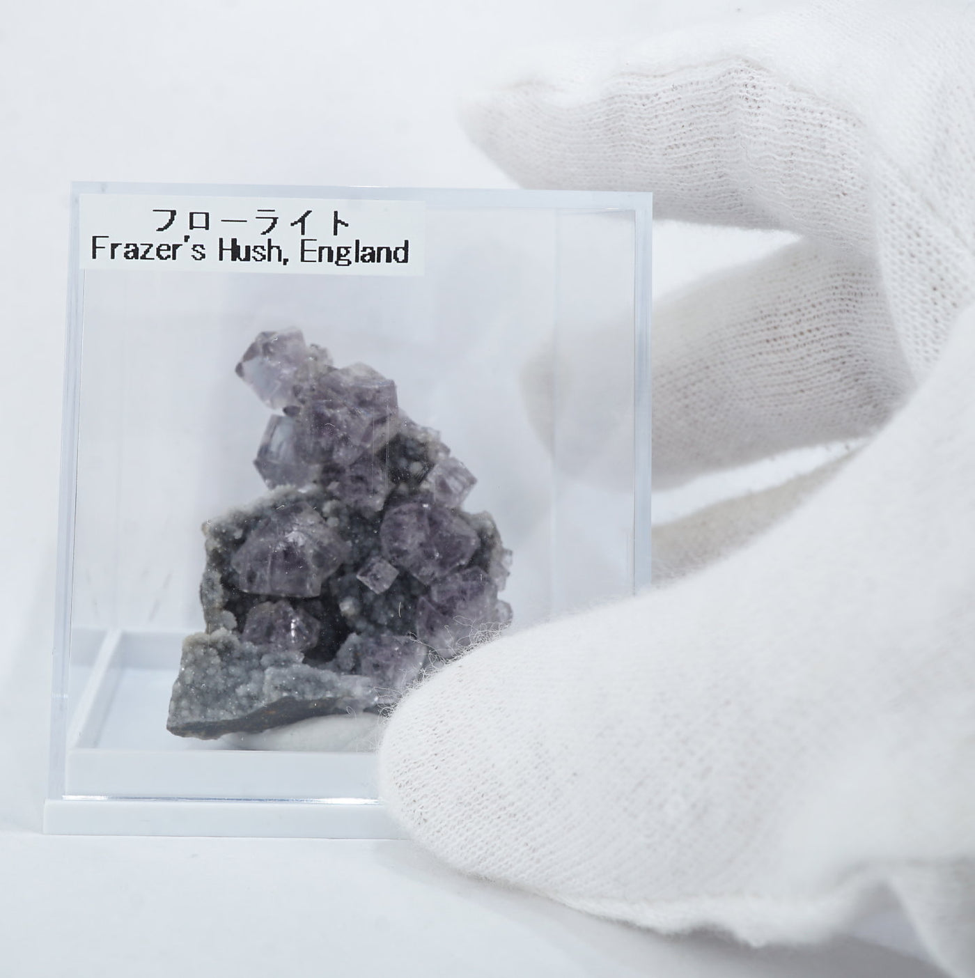 412 イギリス シェリーツインズ フローライト 412 イギリス シェリー