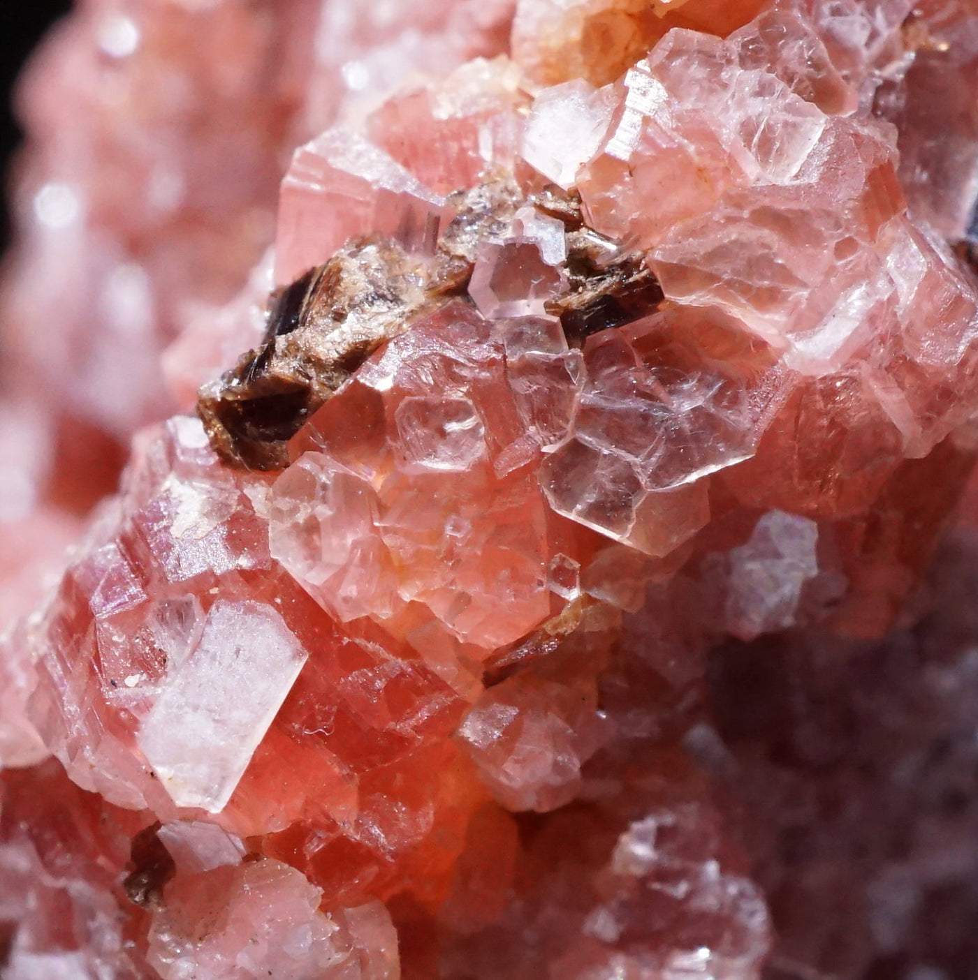 南アフリカ産 Ephesite (エフェサイト) – 天然石ハッピーギフト