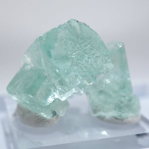 フローライト – タグ 