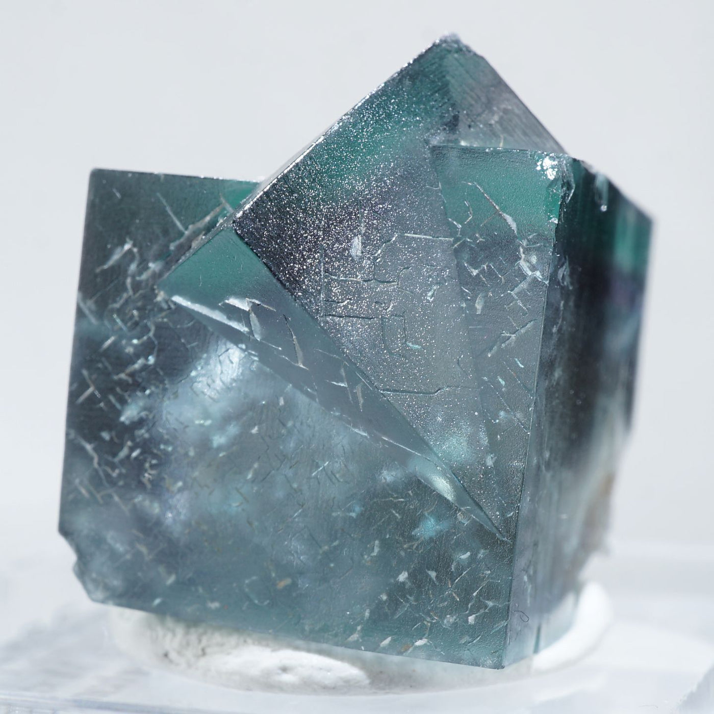 イギリス Fairy Holes Pocket Lady Annabella(レディアナベラ) Mine産