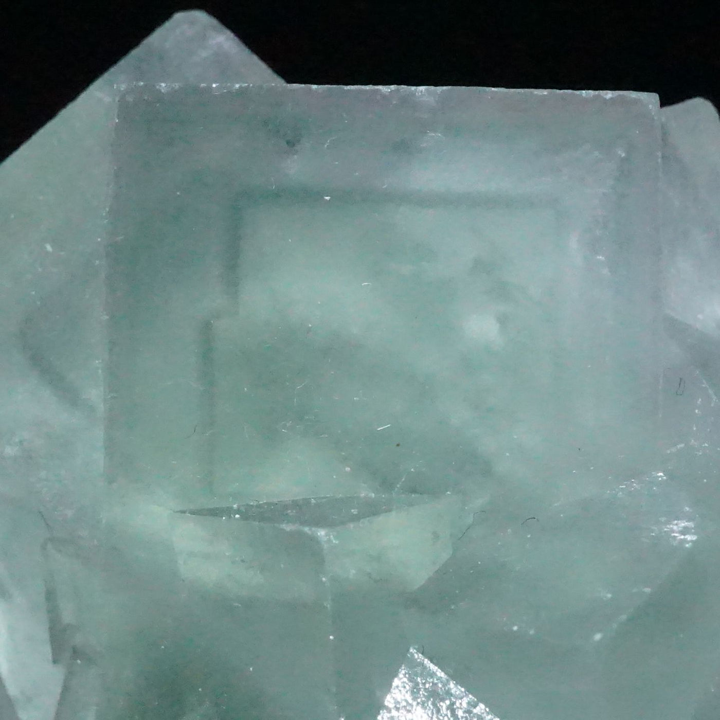 New Found》中国湖南省 香花嶺(シャンファーリン)産 グリーンフロー