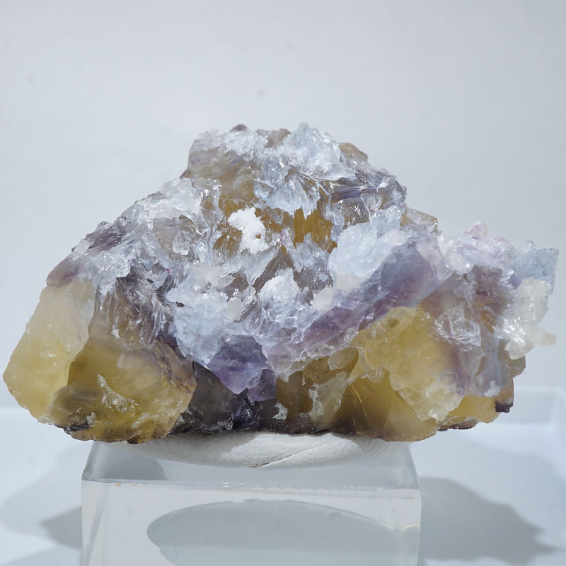 94731-c1_800x.jpg?v=1658373970