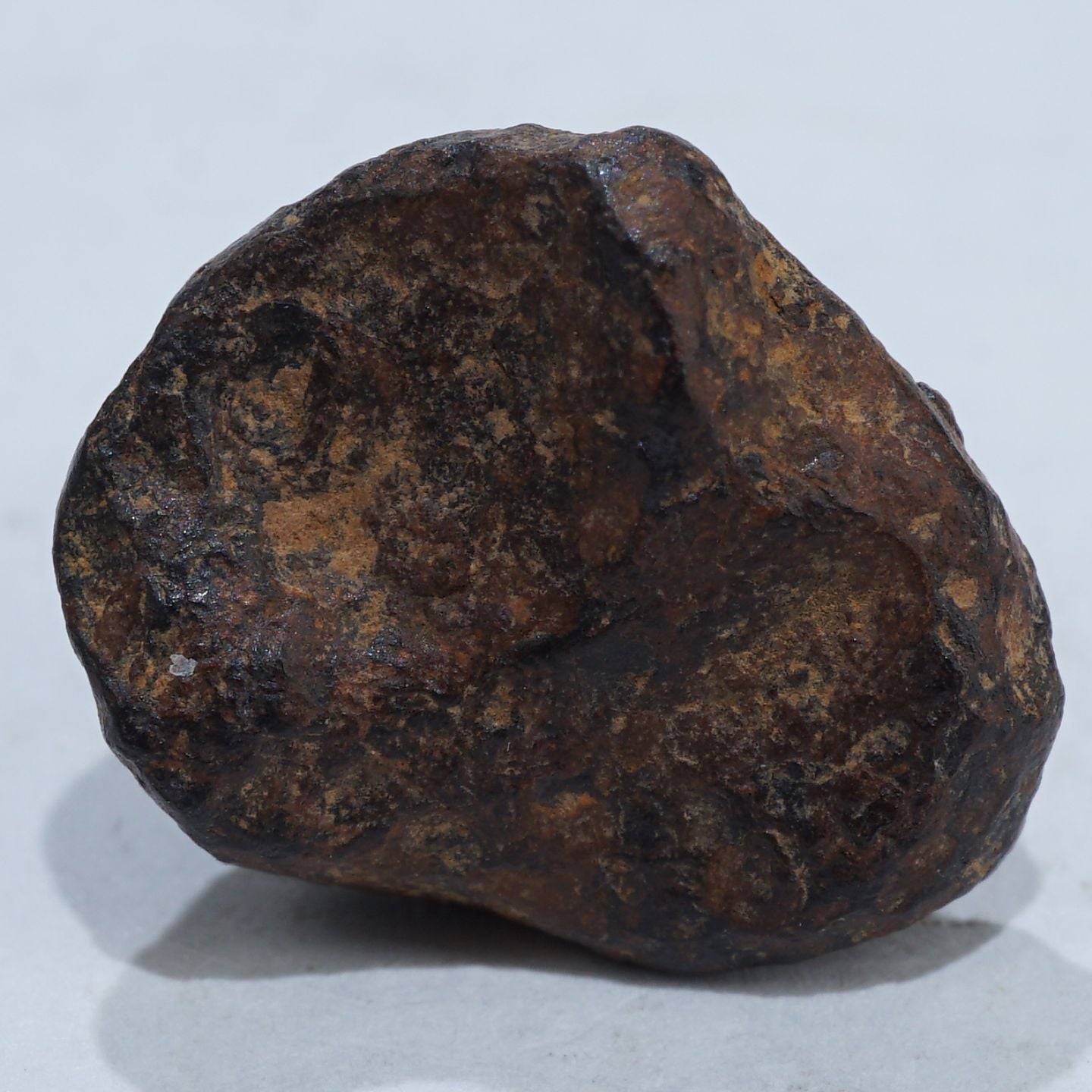 アグダル隕石 42g NO.435 【公式通販】