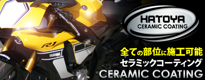 zx25r☆ガソリンタンク☆シルバーメタリック☆2024年モデル☆傷無し美品