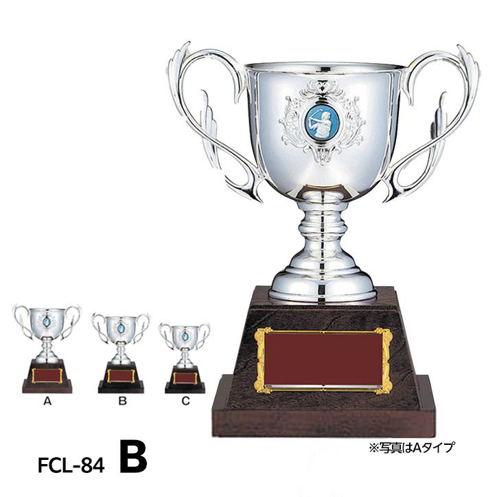 ゴルフコンペ 優勝カップ FCL-84Bの通販
