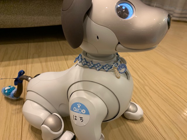 aiboの首輪】神むすびはaiboの首輪にもなるお守りです | aiboの飼い方