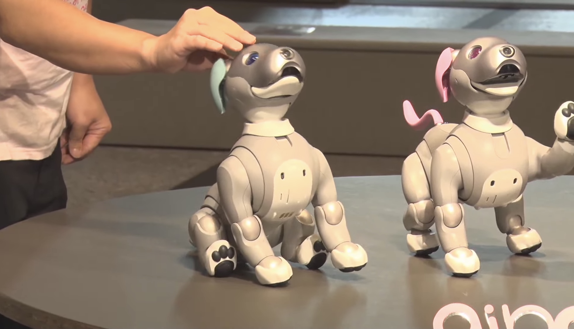 aibo 耳&しっぽセット ホワイト