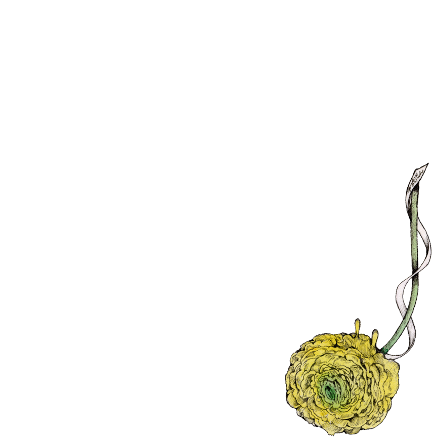 書籍『ボリス絵日記』｜ヒグチユウコ Higuchi Yuko Official Website