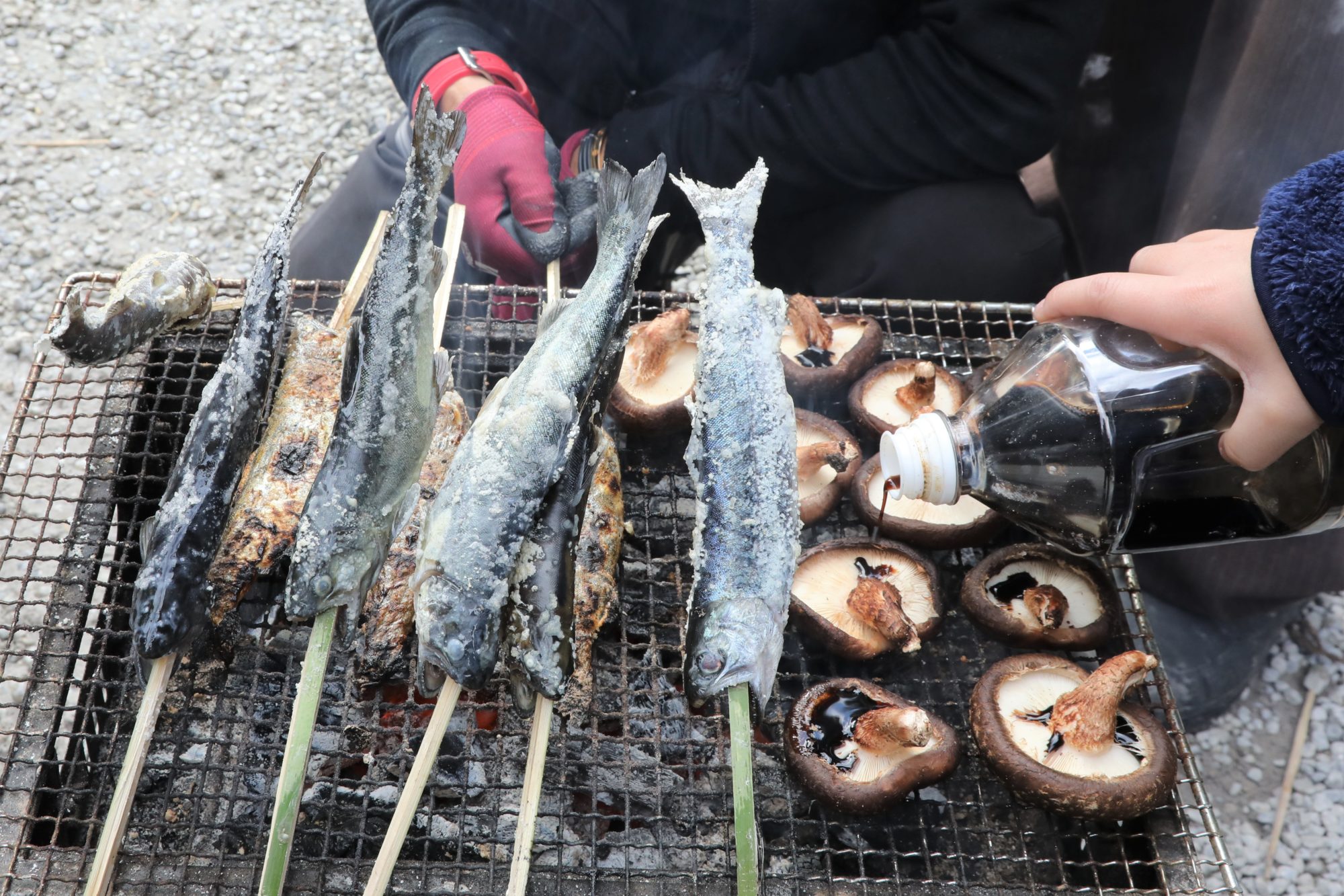 お知らせ｜英彦山神宮｜福岡県添田町