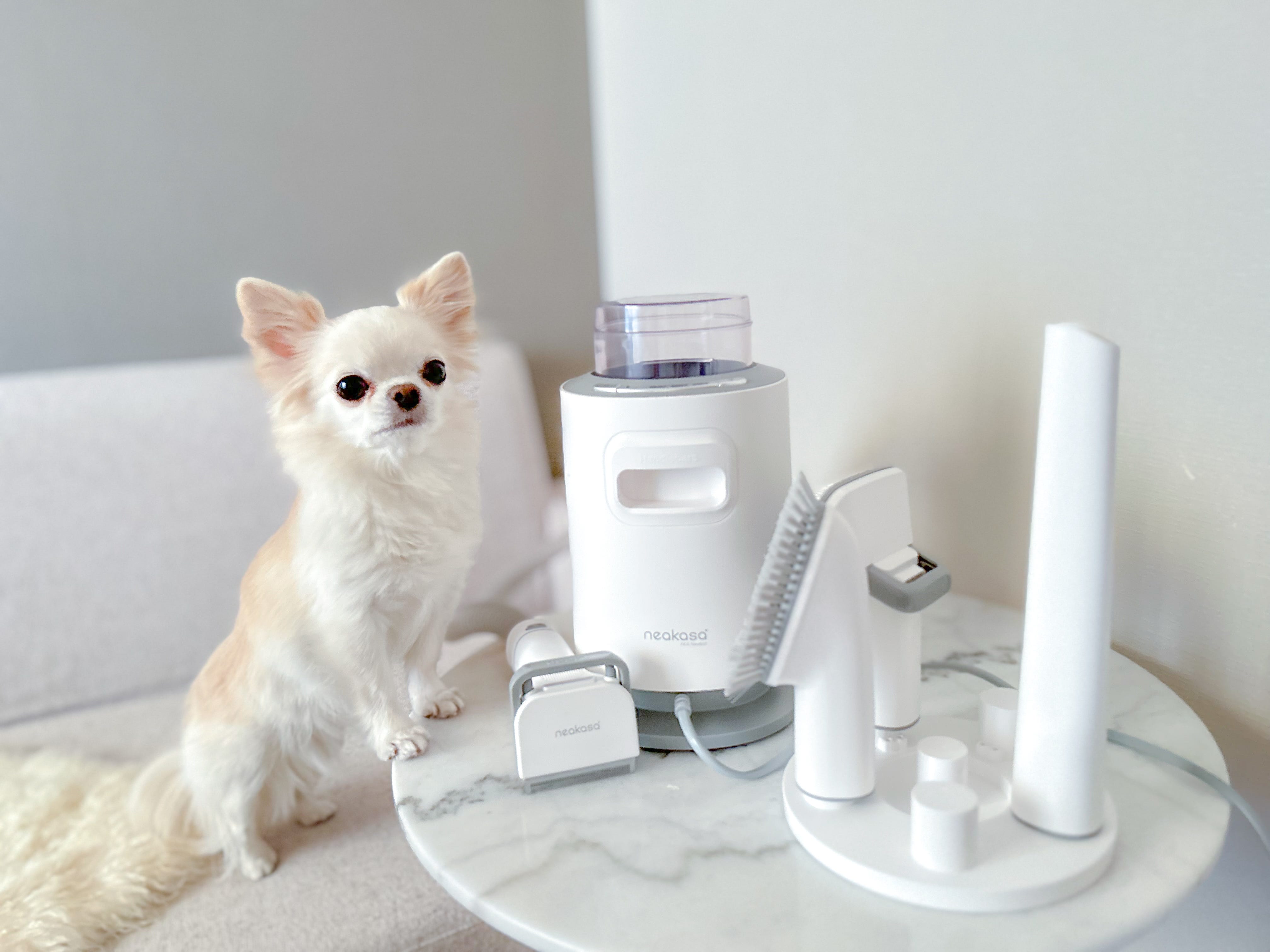 ペットグルーミングキットのおすすめ6選｜自宅でサロン級のケア！ 掃除