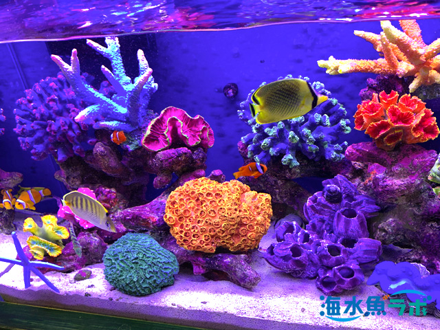 18【珊瑚】☆飾り サンゴ礁 置物☆白 海水魚 水槽 レイアウト