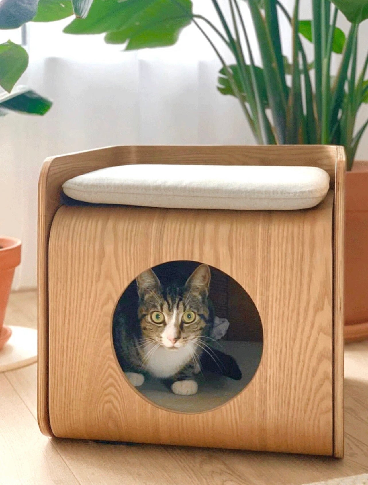 ペットハウス 猫ベッド キャットハウス サイドテーブル 木製ベッド