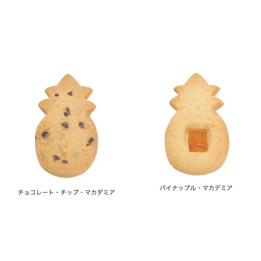 公式】シグネチャー・ギフトボックス・ハワイアン・トロピカル