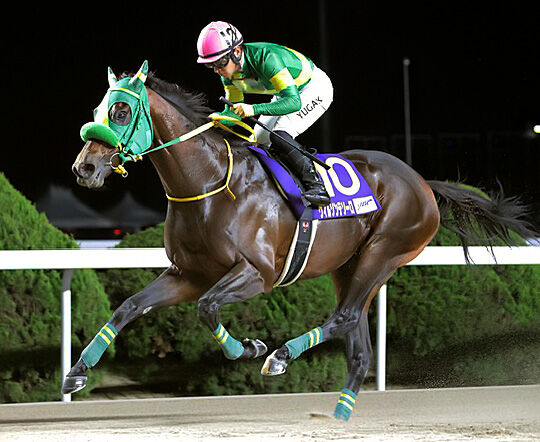 JBCクラシック】米国帰り川田将雅騎手が涙の地元凱旋V 「こんなに