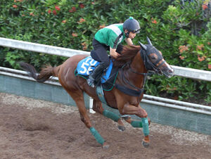 競馬 サイン入りパネル 第57回日本ダービー アイネスフウジン 中野英治