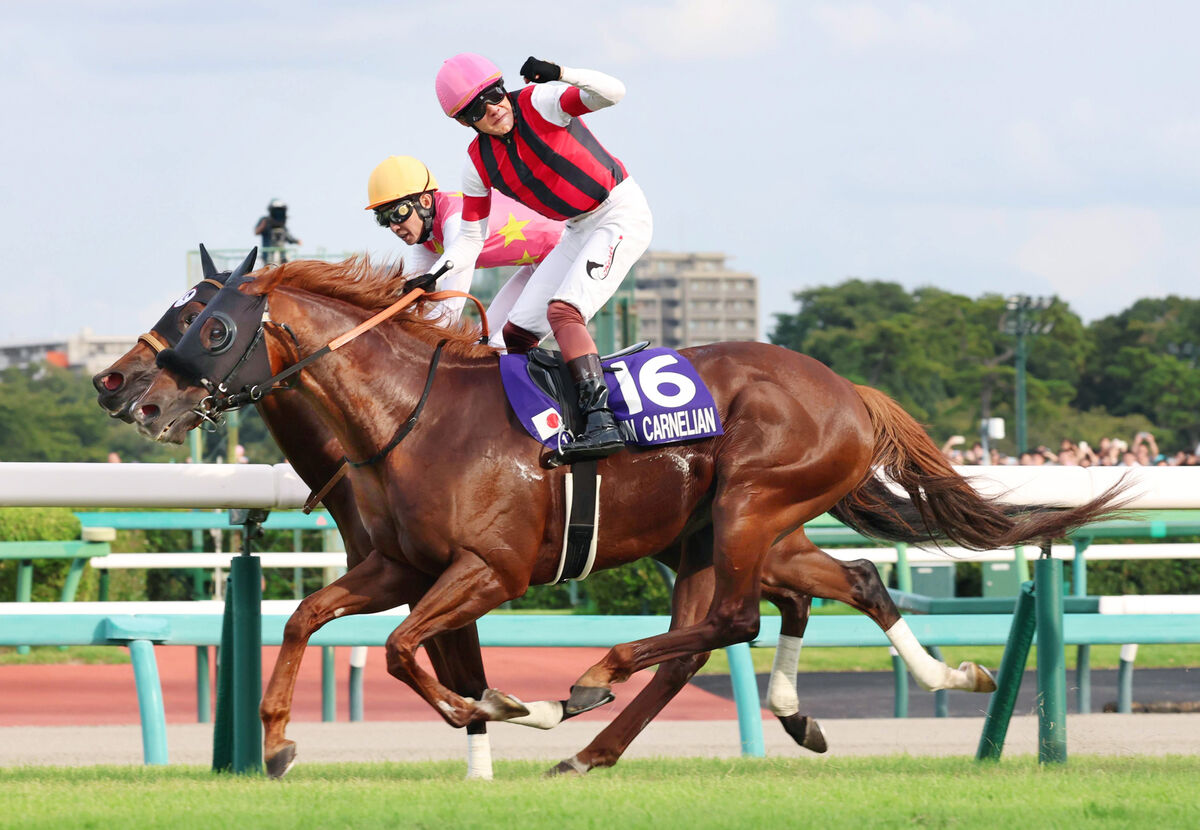 スプリンターズS】三浦皇成騎手がJRA史上最多のG1・127戦目で