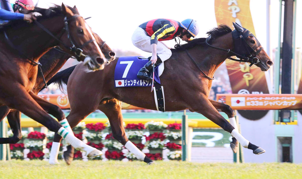 G1・7勝の名牝ジェンティルドンナ死す サンデーレーシング・吉田