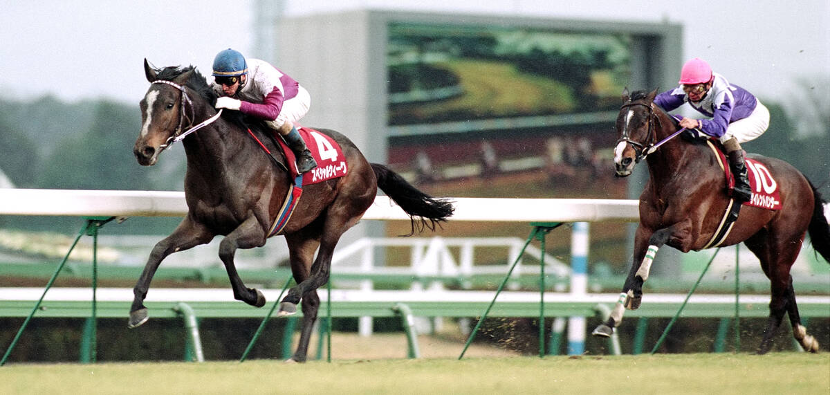 競走伝】スペシャルウィークが武豊騎手以外で勝った唯一の一戦 前年