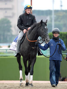 注目馬動向】東京スポーツ杯2歳S2着のゾロアストロは、鞍上ハマー