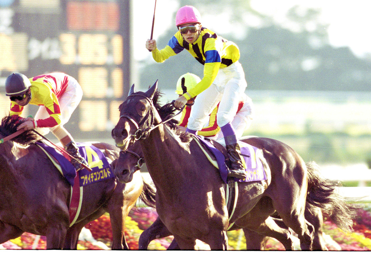 96年の菊花賞馬ダンスインザダーク死す 27歳 老衰で - スポーツ報知