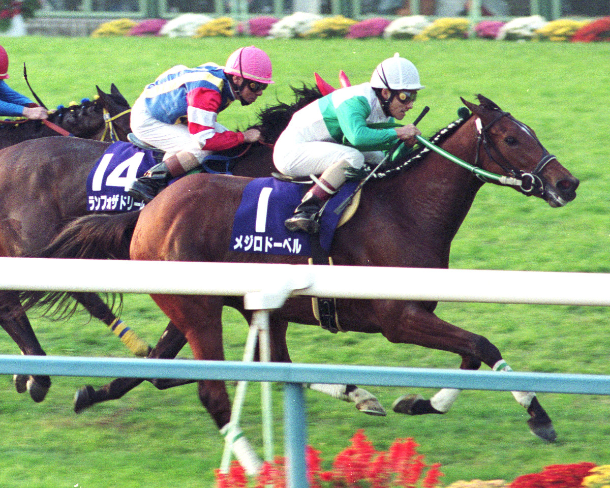 エリザベス女王杯 連覇の女王1】メジロドーベル苦しみぬいて初の偉業