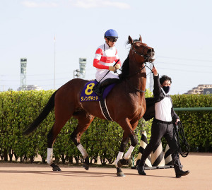 JRA 【 競馬実ゼッケン】 G1皐月賞 ダノンタッチダウン号 川田将雅J