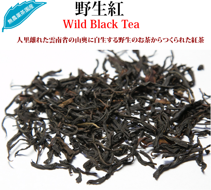野生紅 紅茶 : お茶の専門店HOJO
