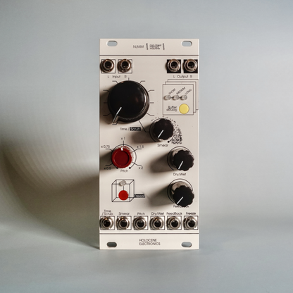 Non-Linear Memory Machine – Holocene Electronics