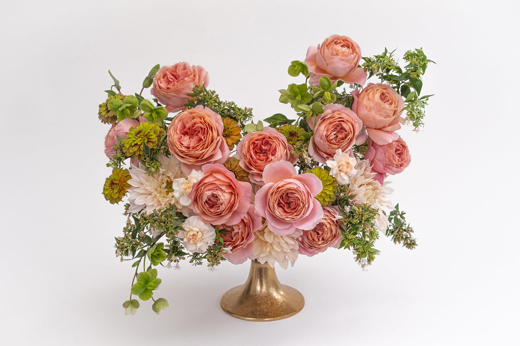 Deluxe & Princess Garden Roses - Romantic Antike | Hope Flower Farm