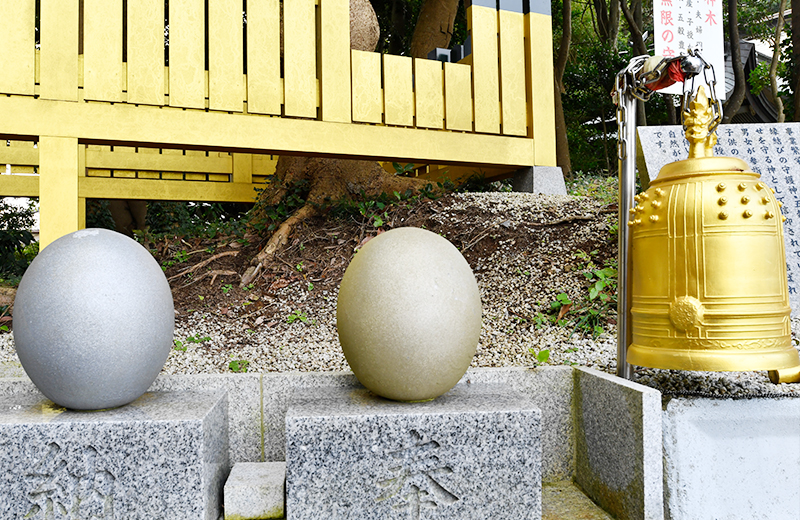 御神木について SACRED TREE｜ほしいも神社 - 堀出神社