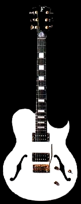 MV-95HT FERNANDES HOTEI/布袋寅泰所有ギター