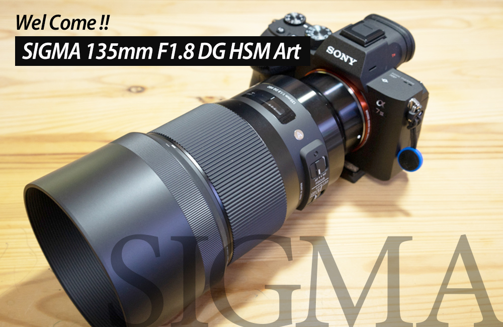 SIGMA 135mm F1.8 DG HSM Art購入レビュー！ため息が出る描写力！作例