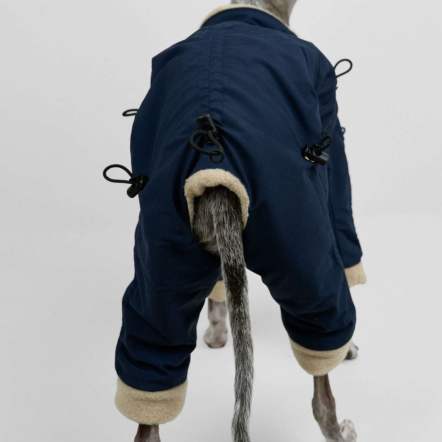 APOLLO SUITS | Howly | 調整機能と保温性を備えた、ミニマルなドッグ