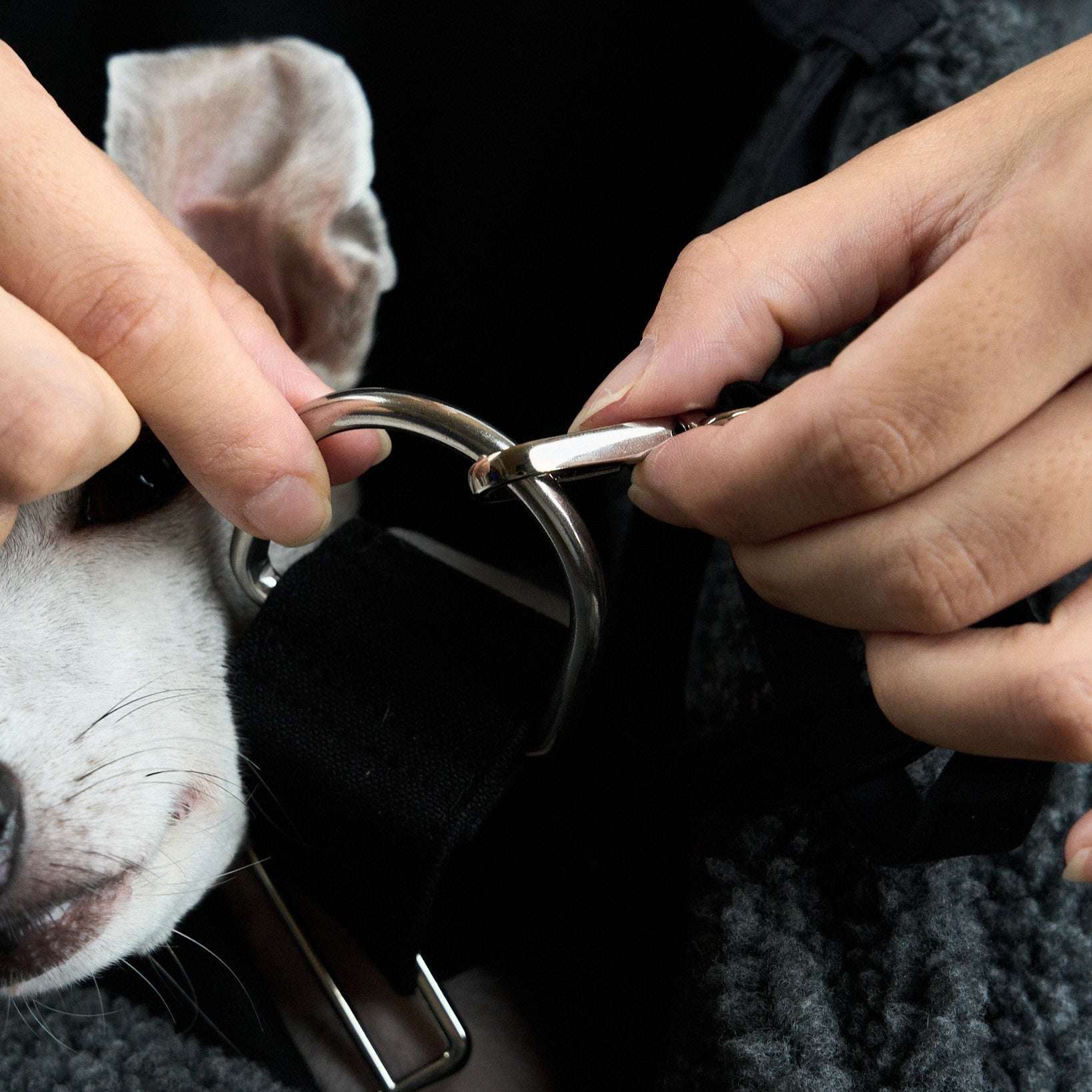 HOWLY PUFF SLING BAG（BOA Edition）｜Howly |3M™ シンサレート™ 高