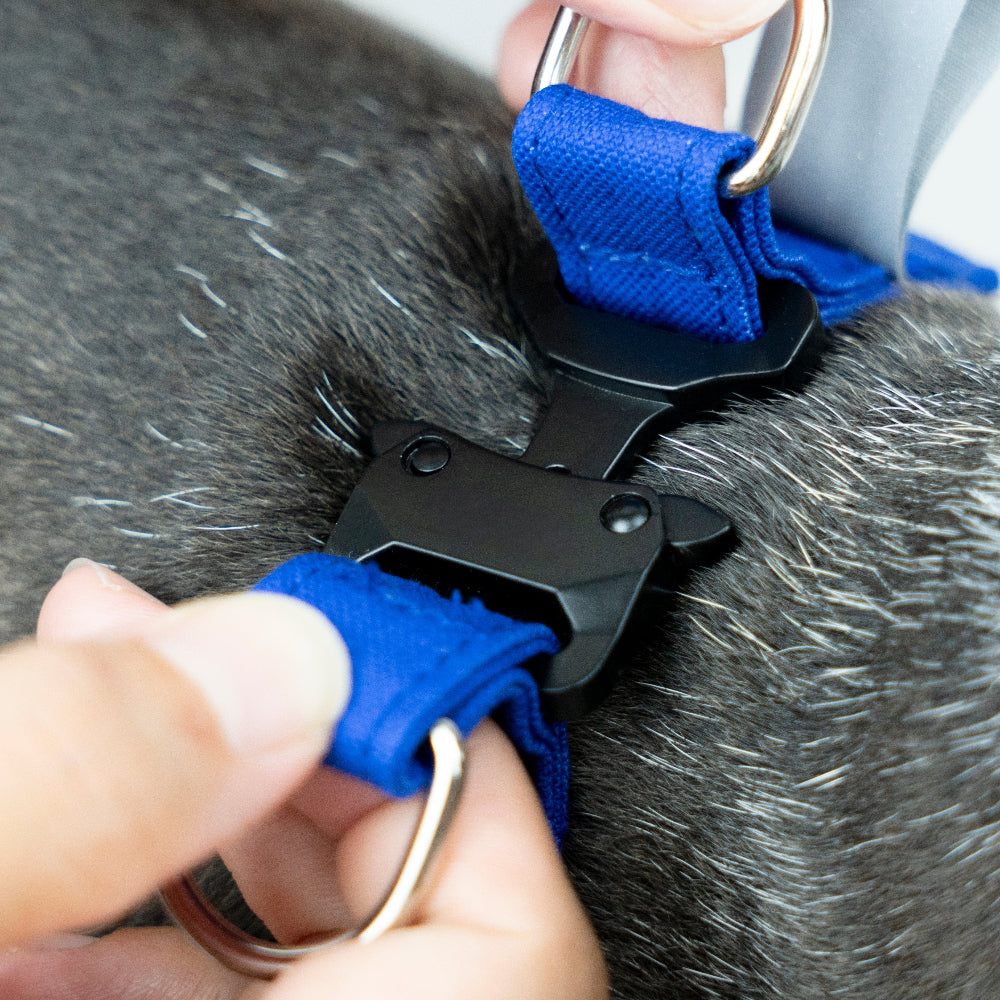 HOWLY UNIVERSAL HARNESS | Howly | シンプルで洗練されたドッグ