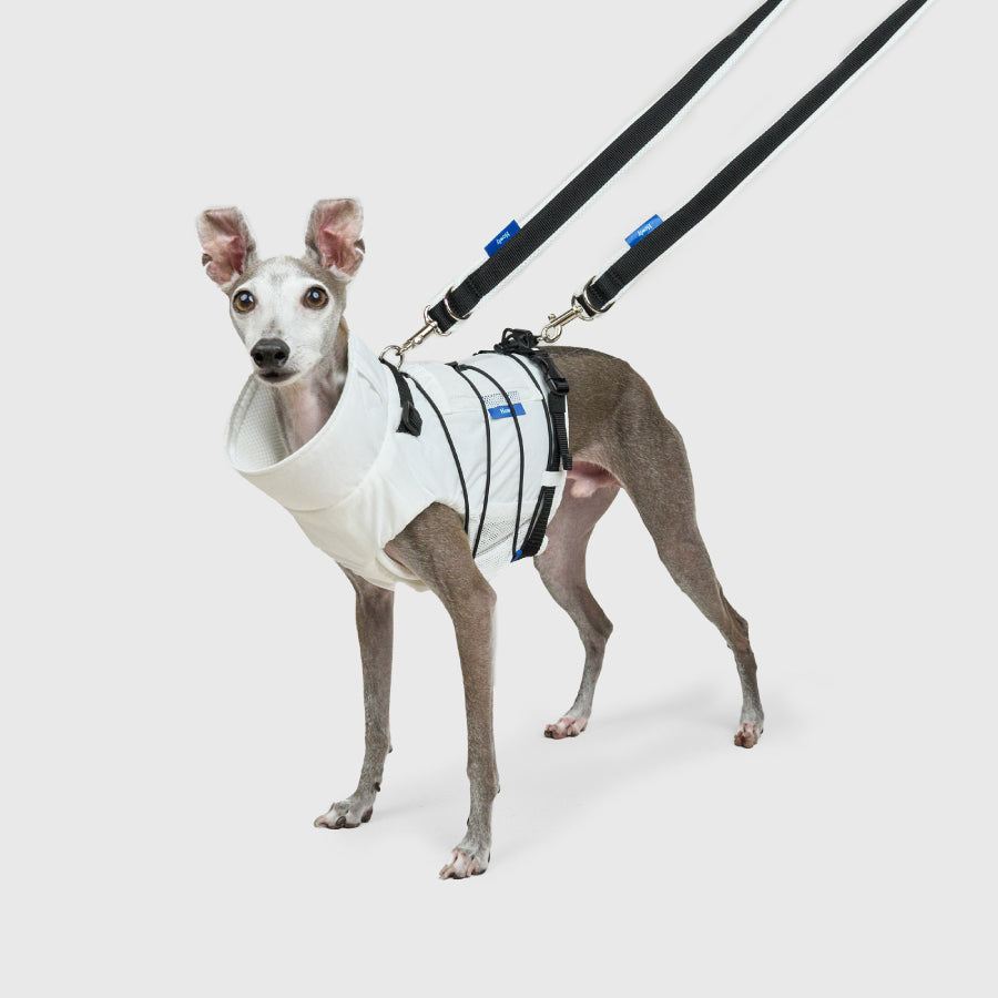 FRAME-X ADV HARNESS | Howly | 収納ポケット付ウェアハーネス｜撥水