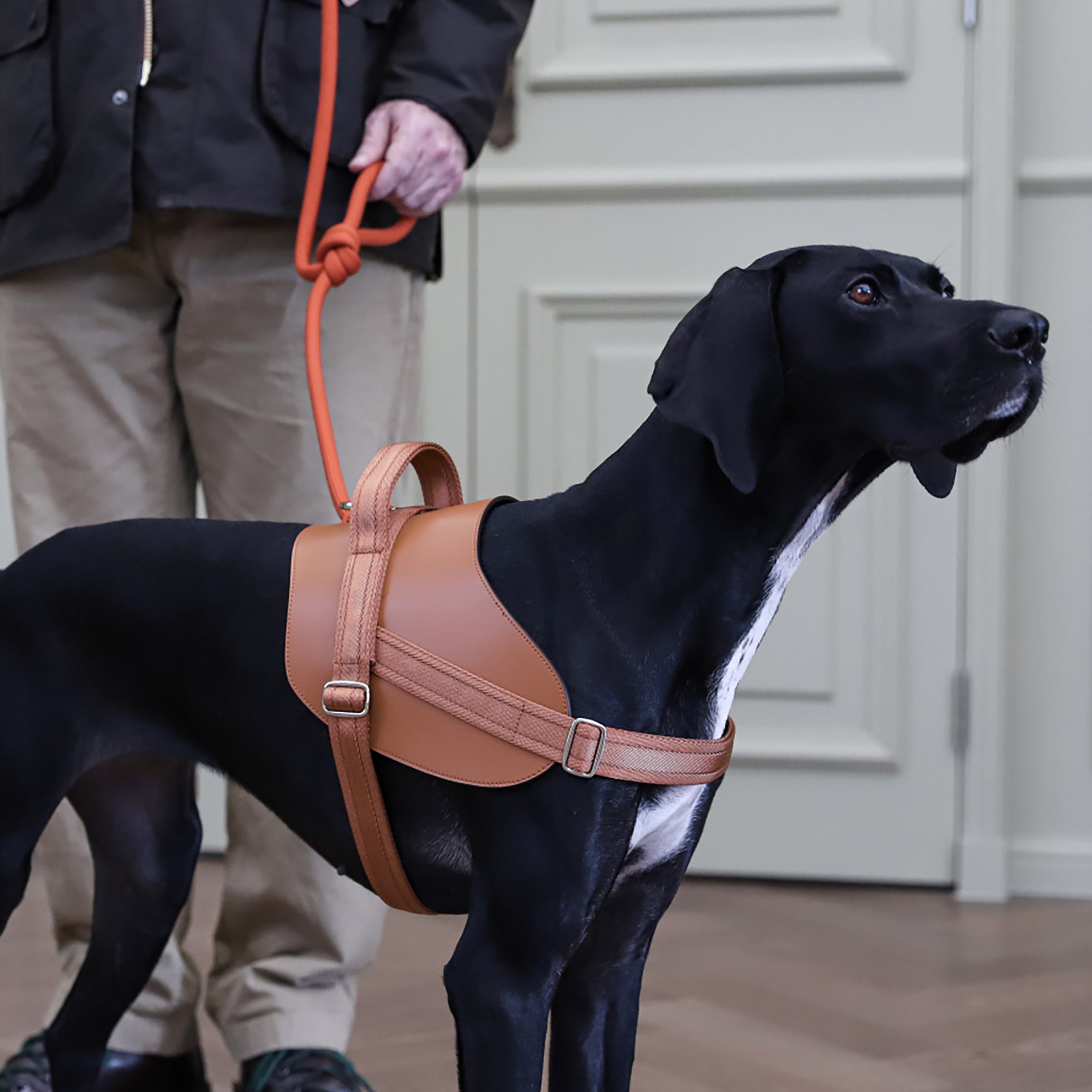 Saddle Harness : Camel – hozi