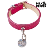 i-glow｜アイ グロー【ドッグファッション・セレクトストア】