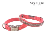 i-glow｜アイ グロー【ドッグファッション・セレクトストア】