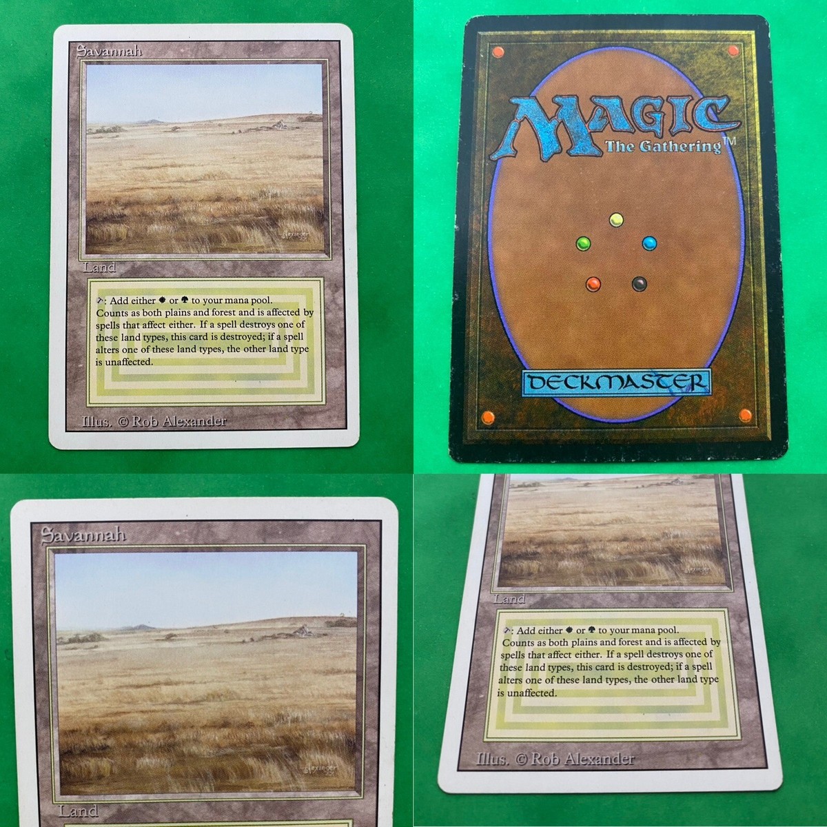 MTG Savannah 3ED 英語版 デュアルランド MTG Savannah サバンナ 英語