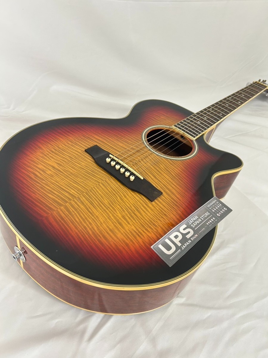 Pro Martin CUSTOM プロ マーチン マーティン カスタム エレアコ