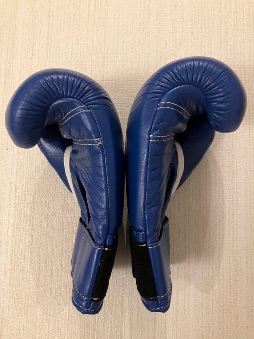 Winning Boxing Gloves 10oz MS-300B Blue Used | eBay