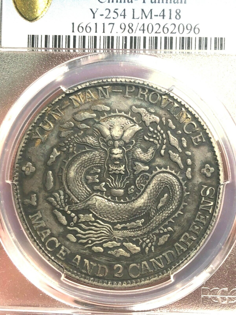 標本 China Yunnan Cetoniinae s.p 23mm 標本 China Yunnan Cetoniinae