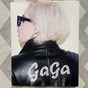 レディ・ガガ×テリー・リチャードソン プリント 額装済 レディ・ガガ