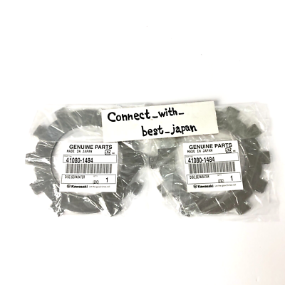 Kawasaki Prairie Brute Force Teryx KFV700 Rear Wet Brake Kit